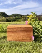 Bevel Solid Walnut Cremation Urn for Ashes - Image 4