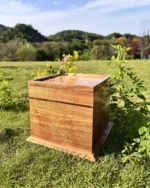 Dual-Layer Walnut Cremation Urn for Ashes - Image 4