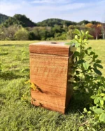 Eternal Flame Solid Walnut Square Urn for Ashes - Image 4