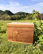Pure Solid Walnut Urn for Ashes - Image 4