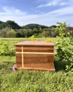 Two-Tone Inlay Walnut Cremation Urn for Ashes - Image 4